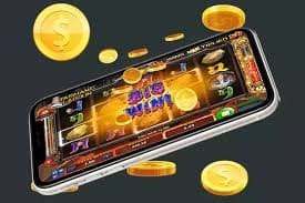 zbet tv