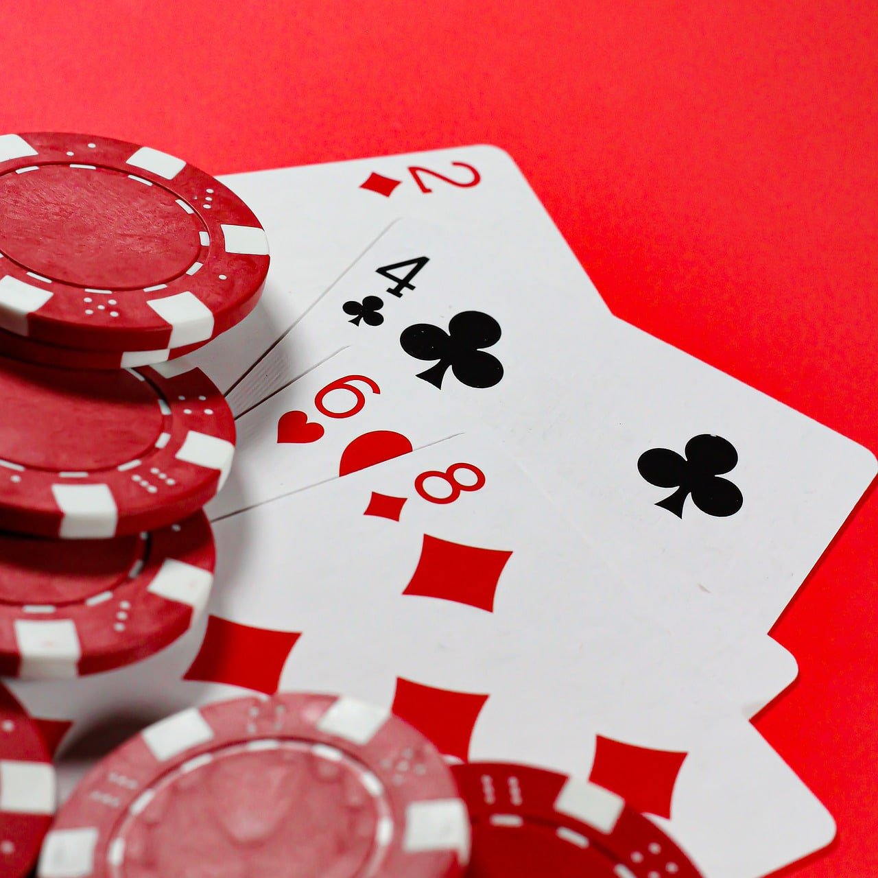 zbet tv