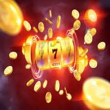 zbet tv